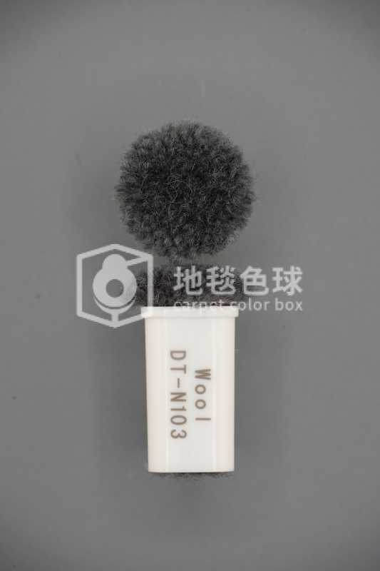 DT N103