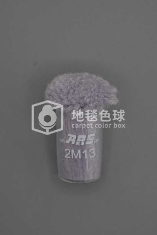 ARS 2M13