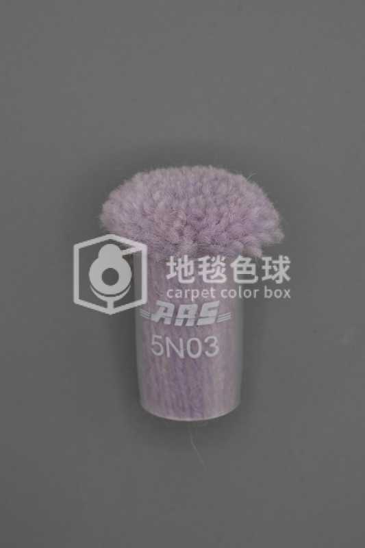 ARS 5N03