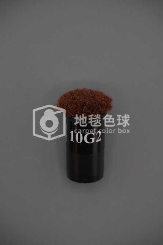 10G2
