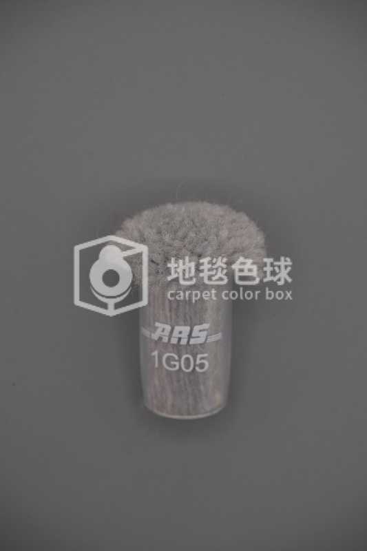 ARS 1G05