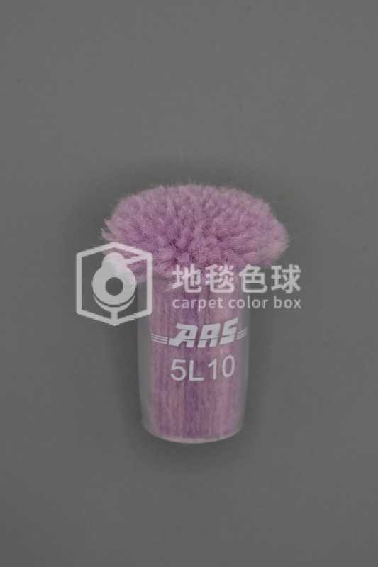 ARS 5L10