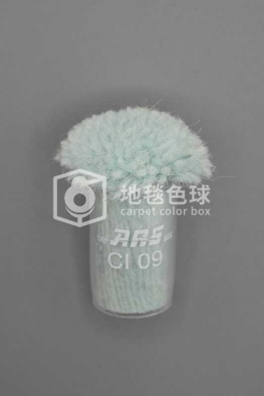ARS CI09