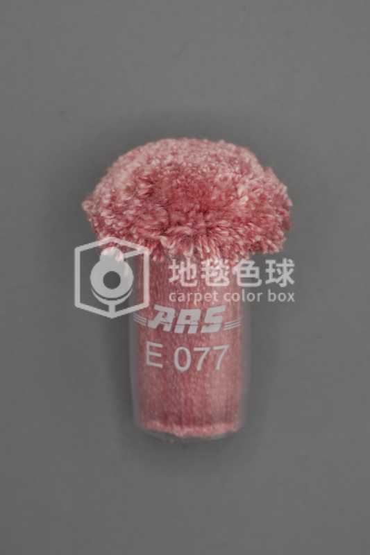 ARS E077