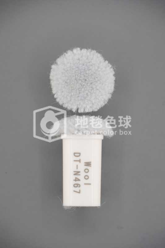 DT N467