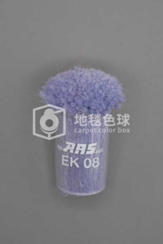 ARS EK08