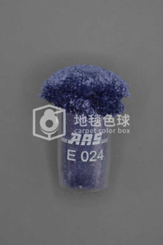 ARS E024