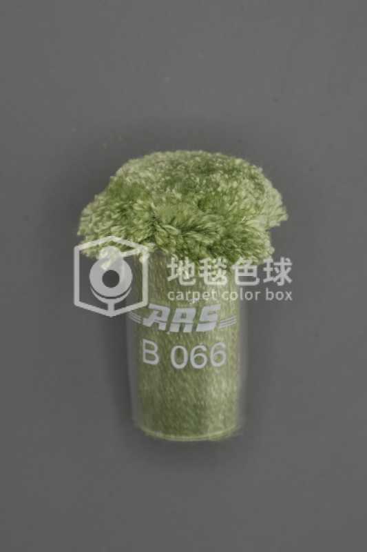 ARS B066