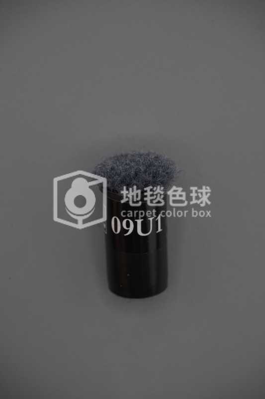 09U1