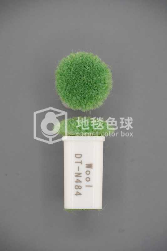 DT N484