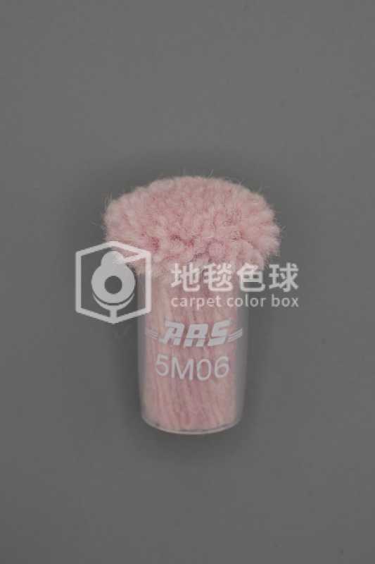 ARS 5M06
