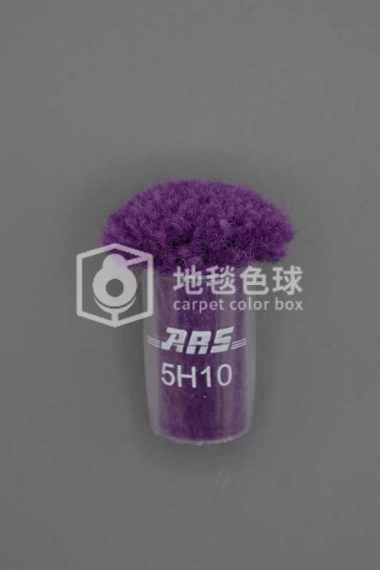 ARS 5H10