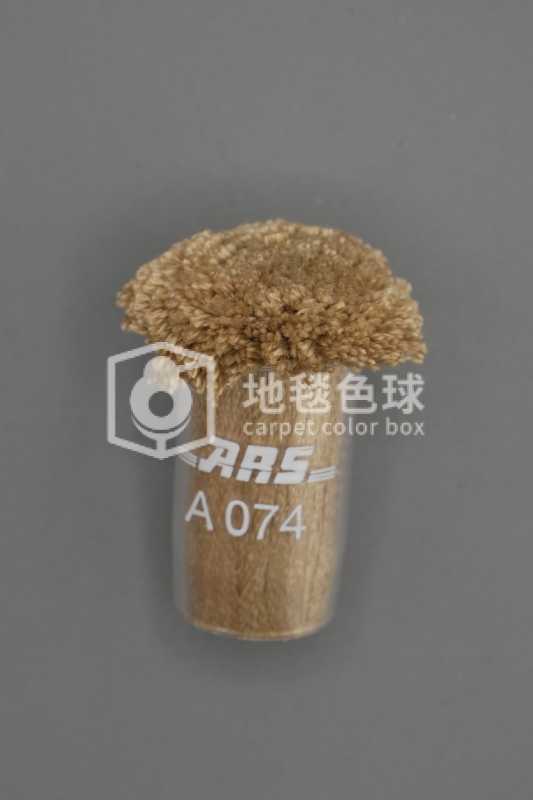 ARS A074