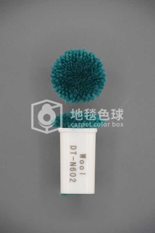 DT N602