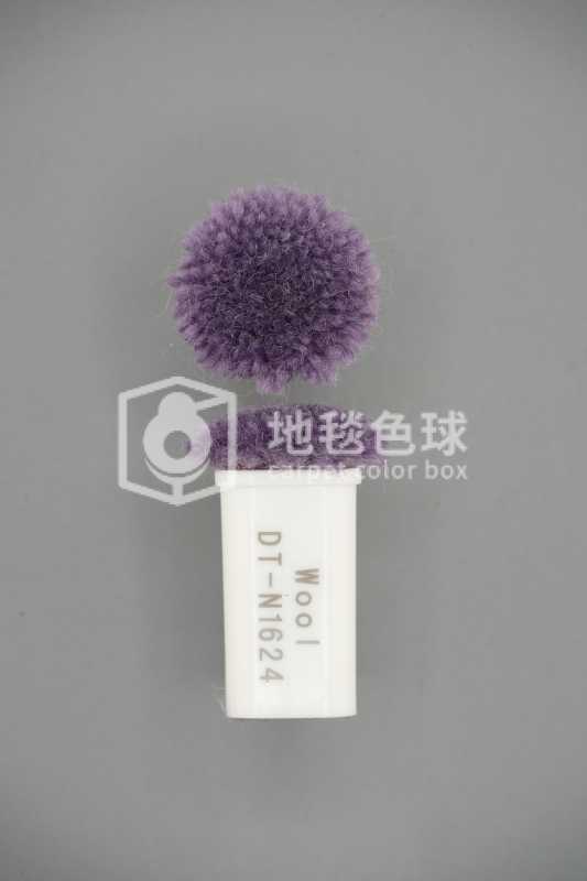 DT N1624