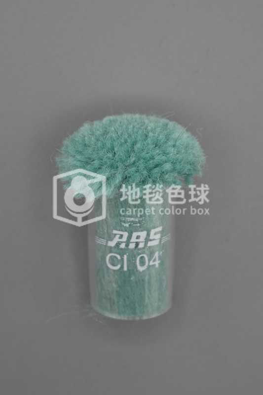 ARS CI04