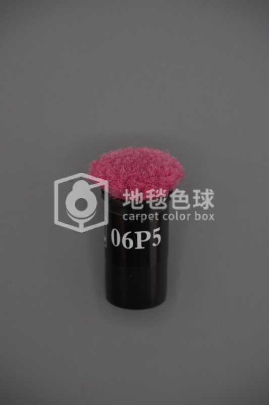 06P5