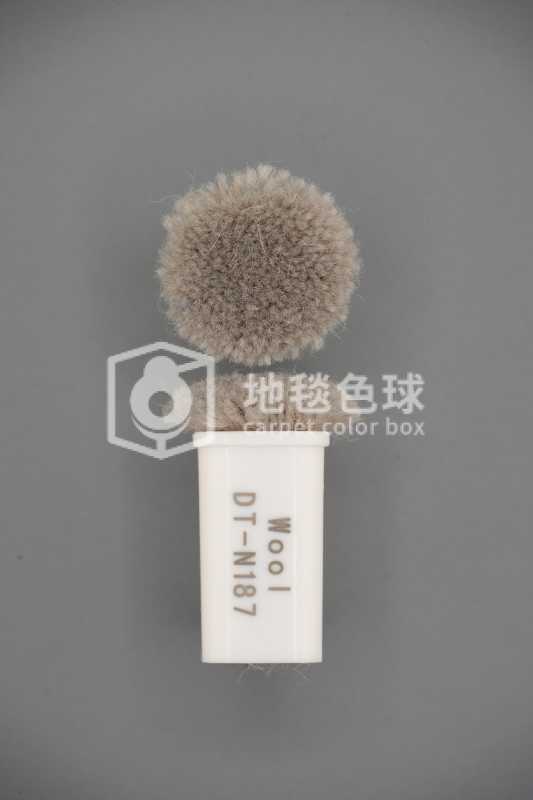 DT N187