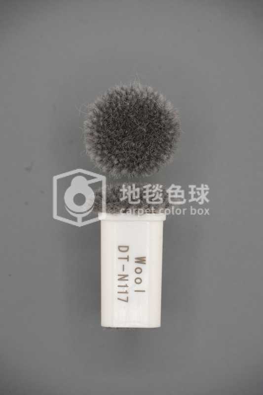 DT N117