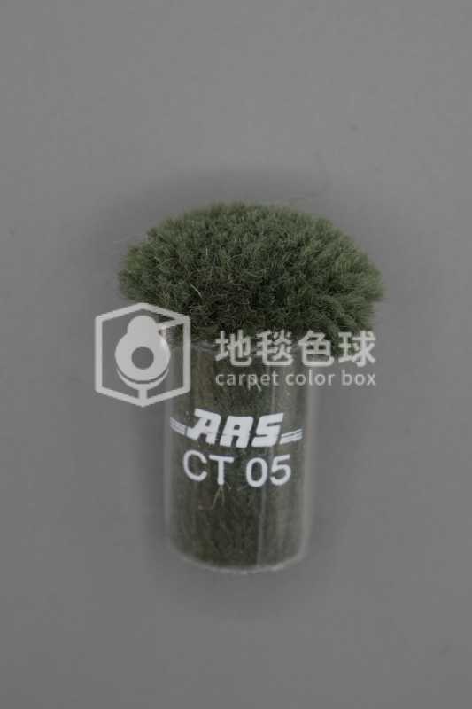 ARS CT05
