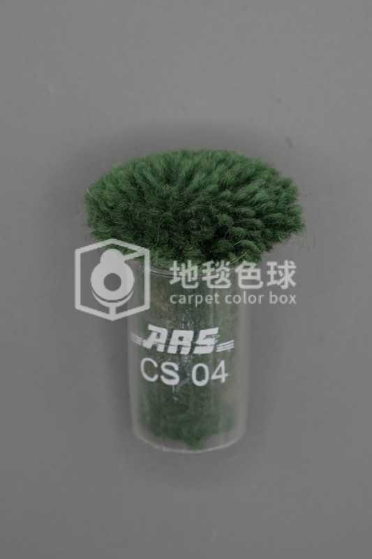 ARS CS04