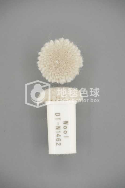 DT N1462