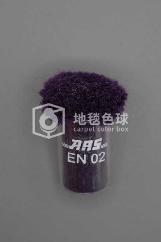ARS EN02