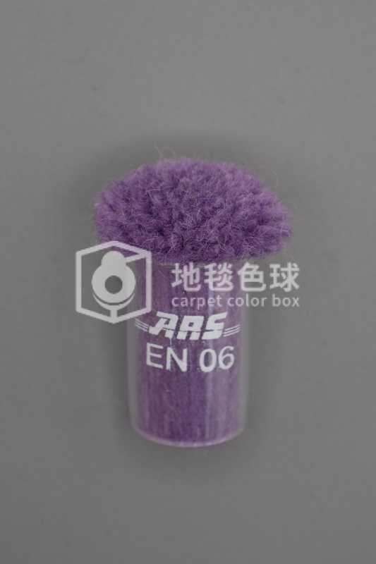 ARS EN06