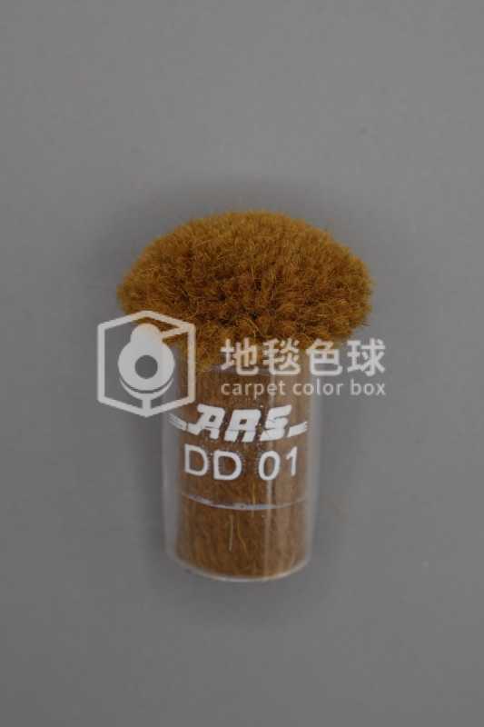 ARS DD01