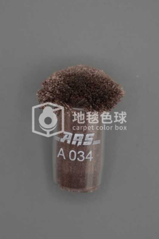 ARS A034