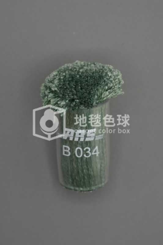 ARS B034
