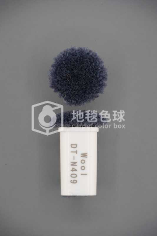 DT N409