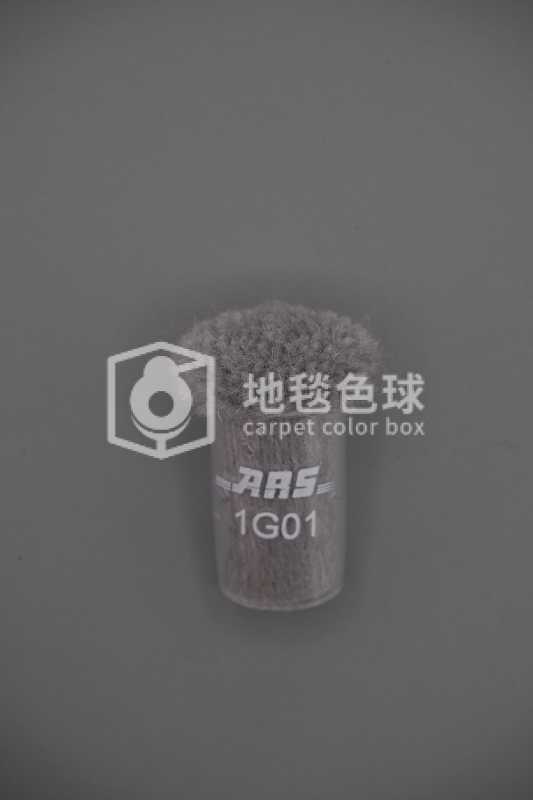 ARS 1G01
