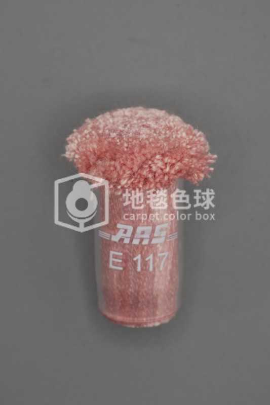 ARS E117