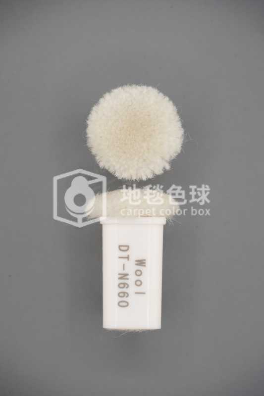 DT N660