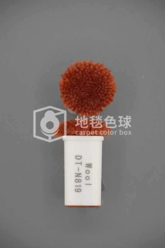 DT N819