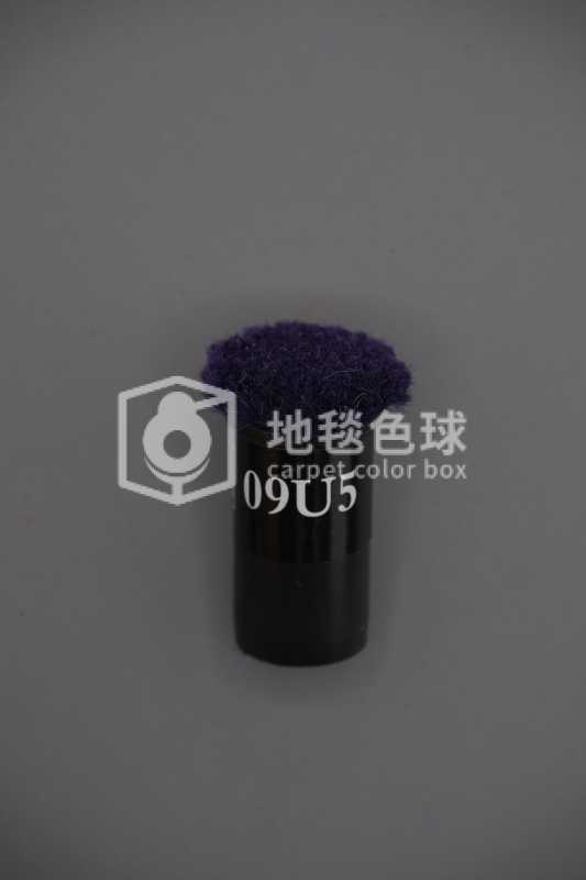 09U5