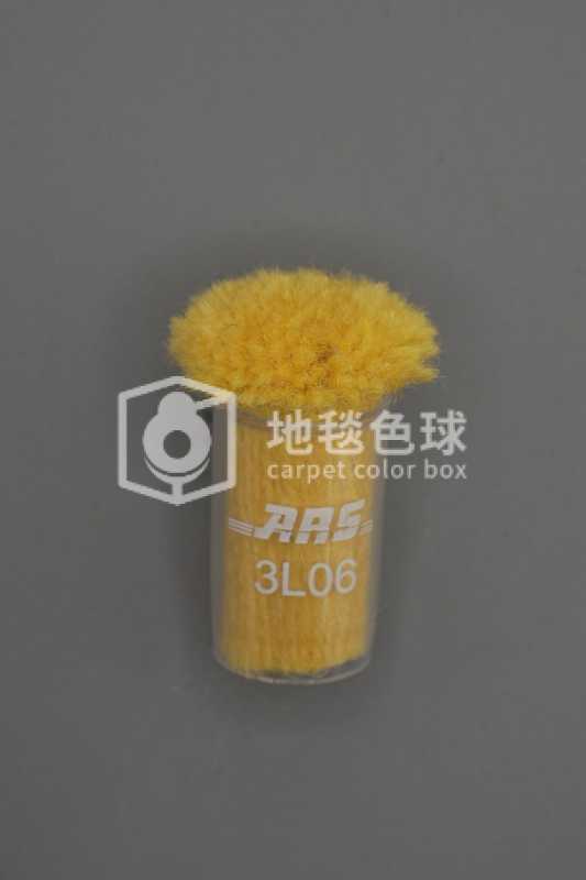 ARS 3L06