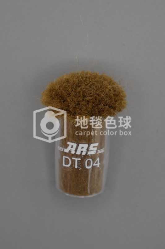 ARS DT04
