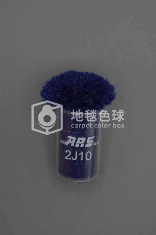ARS 2J10