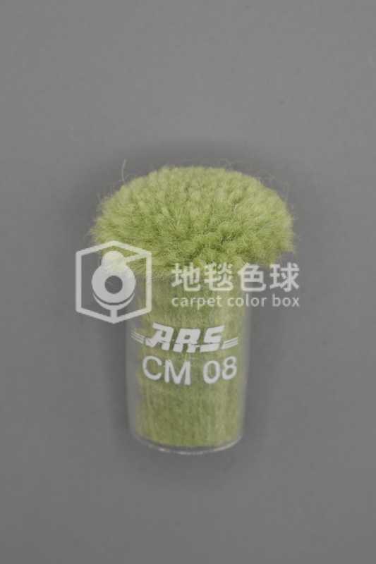 ARS CM08