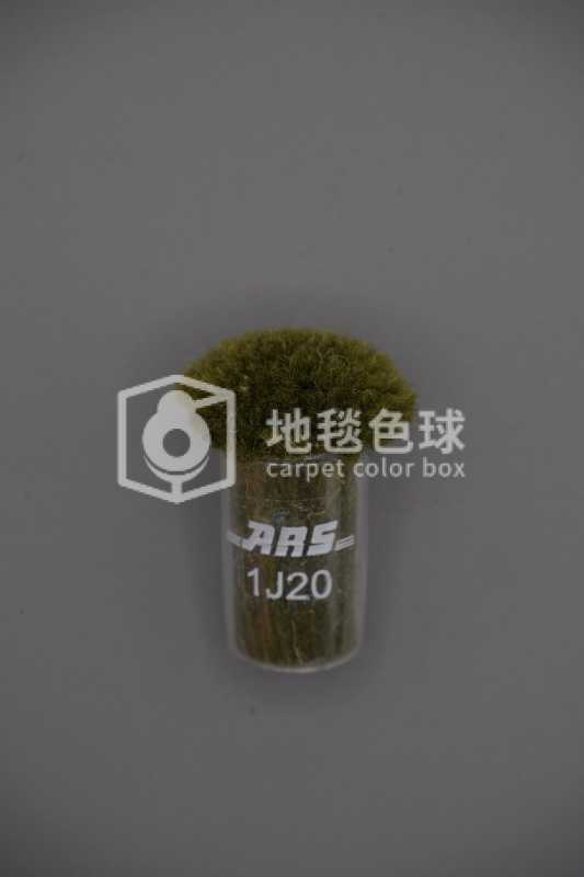 ARS 1J20