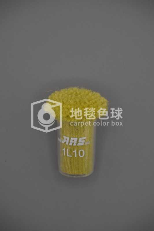 ARS 1L10