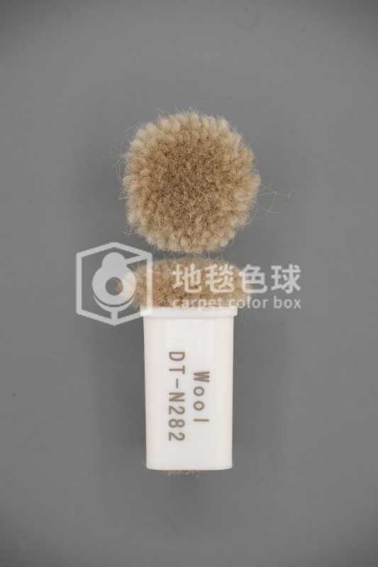 DT N282
