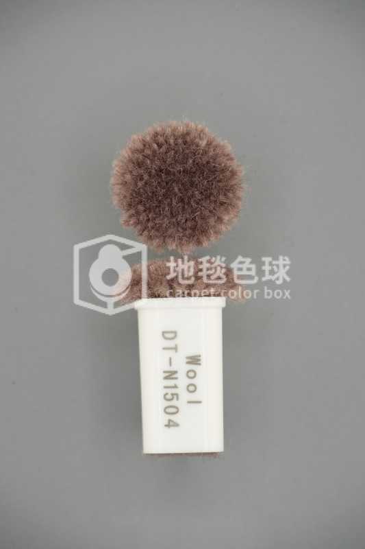 DT N1504