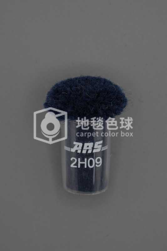 ARS 2H09