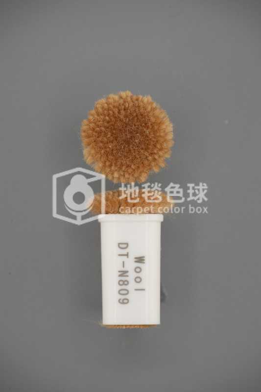 DT N809