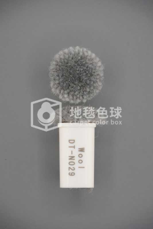 DT N029