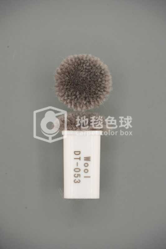 DT 053