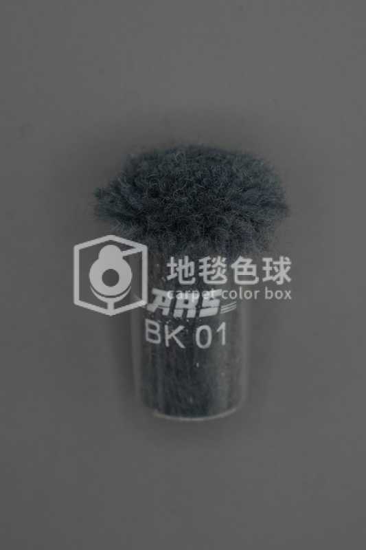ARS BK01